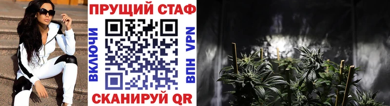 Наркошоп купить ГАШИШ  Галлюциногенные грибы  Меф мяу мяу  МАРИХУАНА  A PVP  Петровск