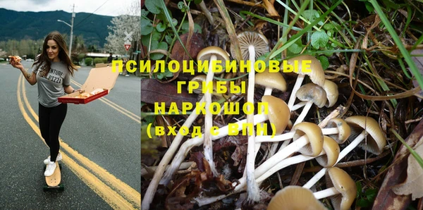 прущая мука Гусь-Хрустальный