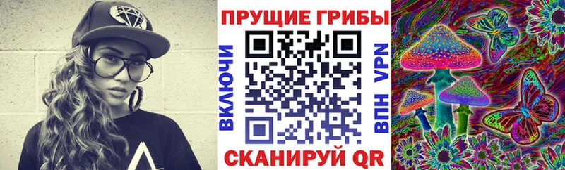 Купить закладки  Петровск  Галлюциногенные грибы Psilocybine cubensis 