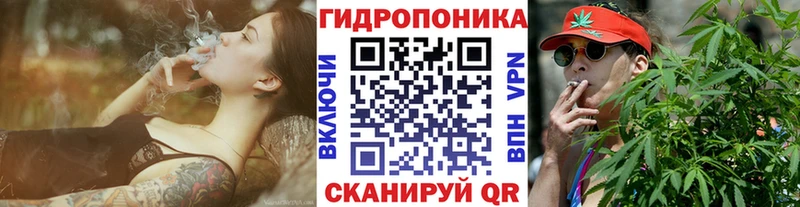 Купить  Петровск  Бошки марихуана SATIVA & INDICA 
